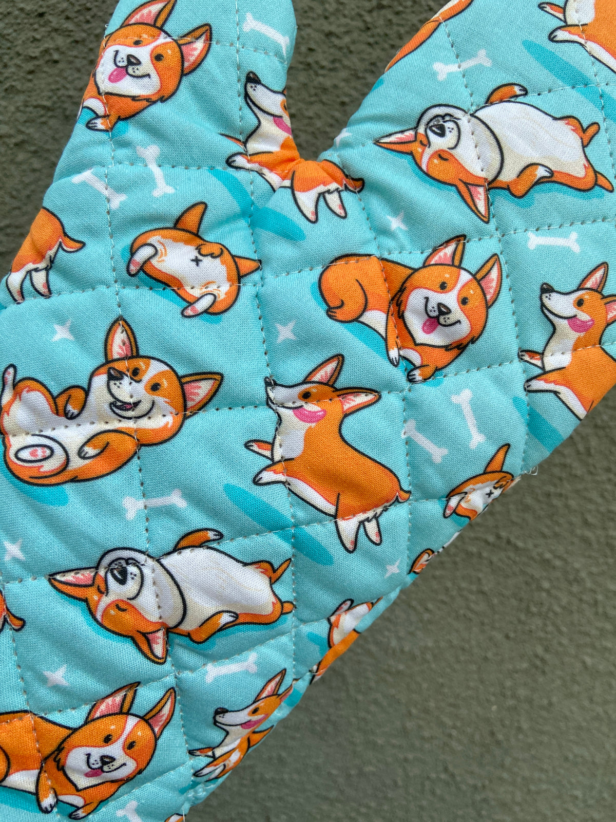 Corgis Mitt