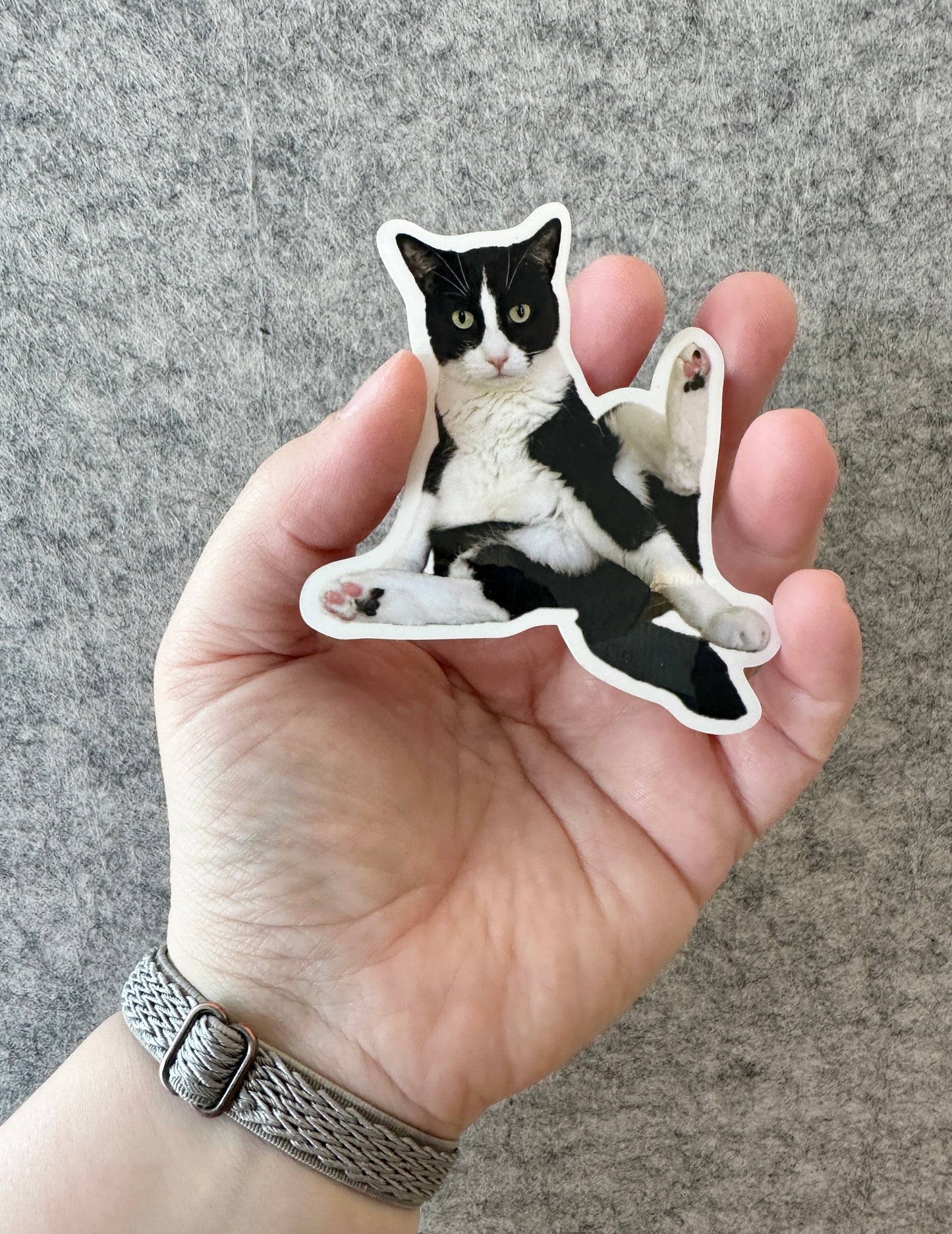 Silly Tuxie Sticker