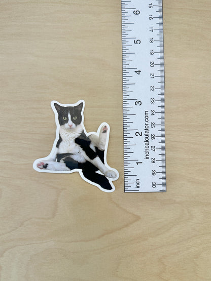 Silly Tuxie Sticker