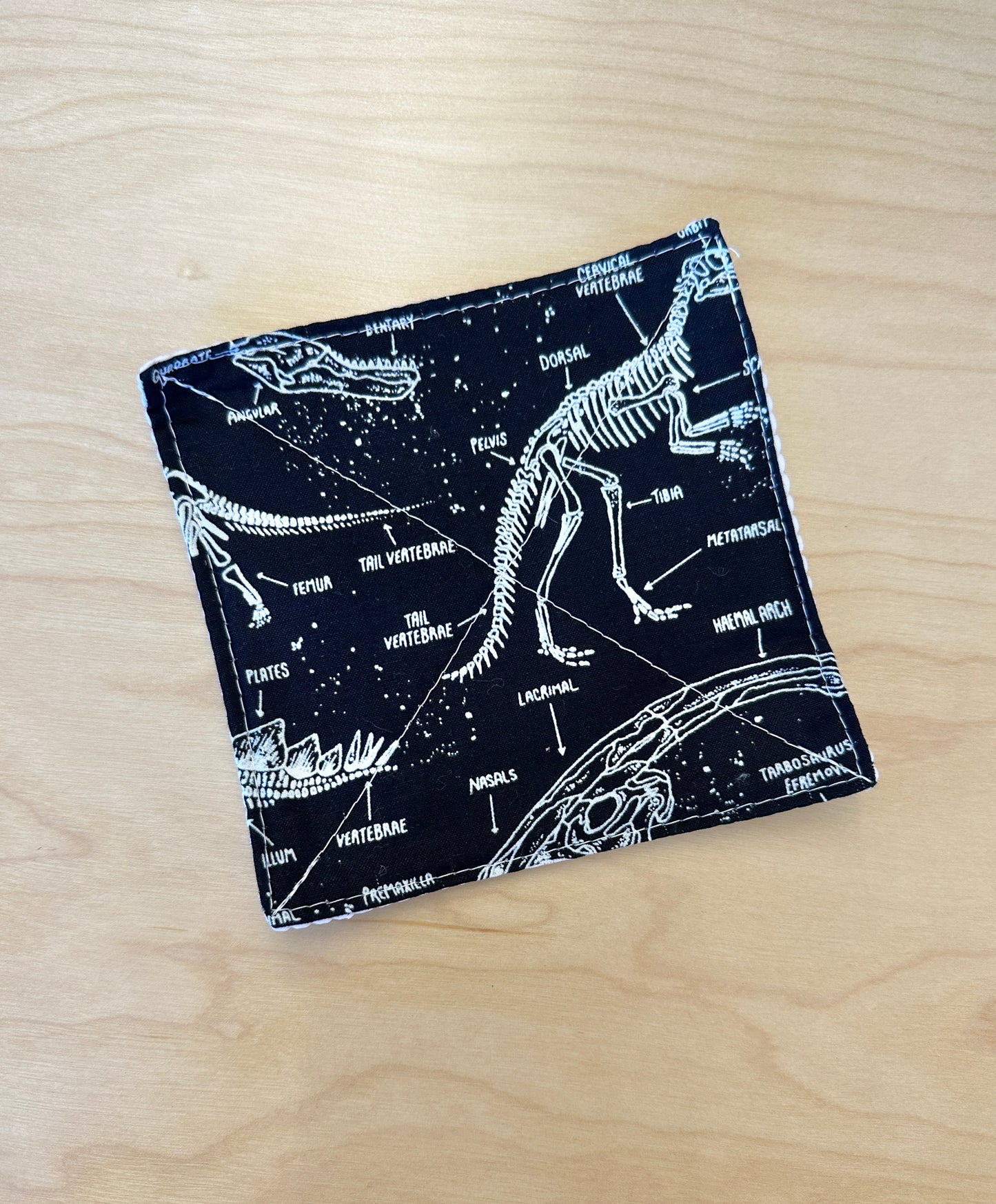 Glow in the Dark Dinosaur Skele Jar Opener