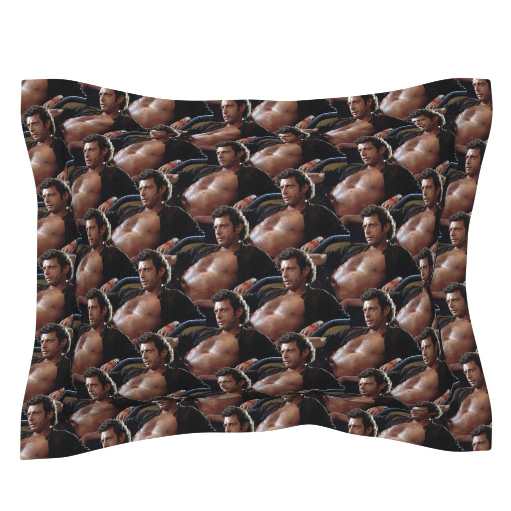 Jeff Pillow Case/Sham